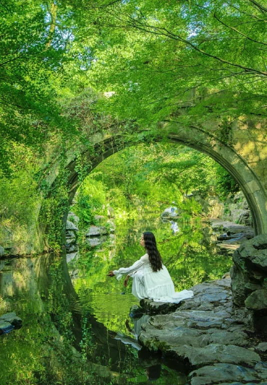 旅客旅遊照片
